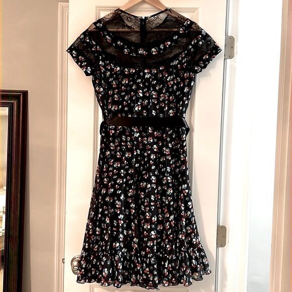 Teri Jon, beautiful dress. Size 2-4 Like New. - Picture 4 of 10